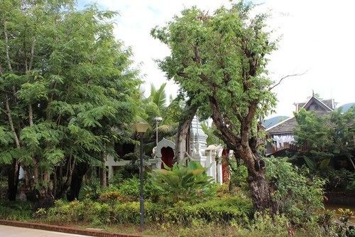 Xishuangbanna Elephanthome Boutique Guest House Esterno foto